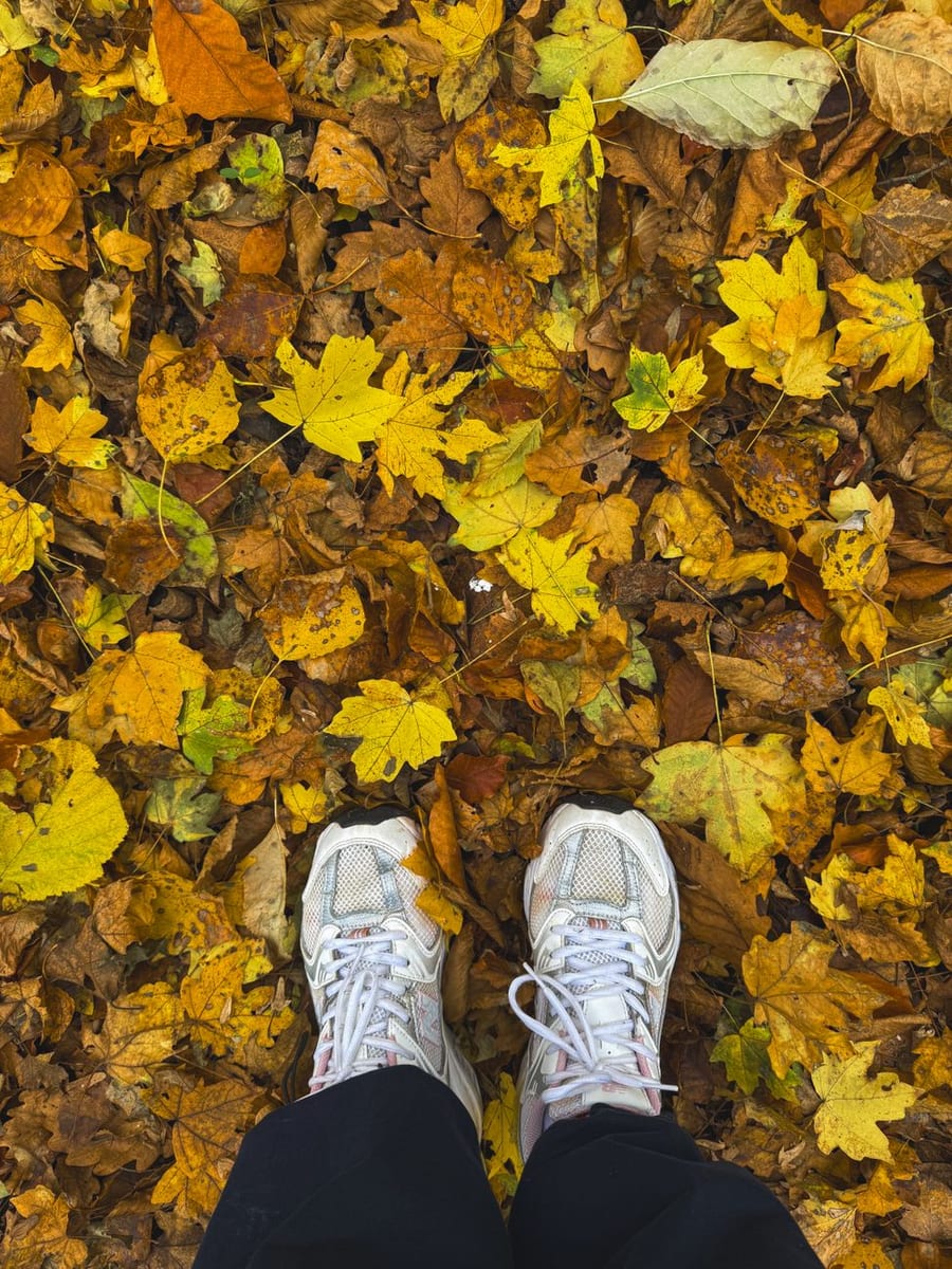 White walking shoes on a path of fallen autumn leaves